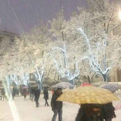 Cosenza-Neve-19-Gennaio-2016-46-420x420