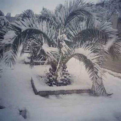 Setif-neve-algeria-01