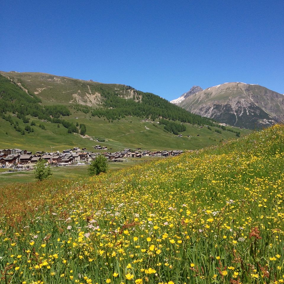 LIVIGNO 23-6-16